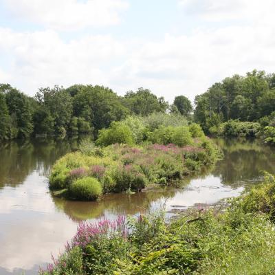 Eden Mill Pond, before the dam was breached in 2015